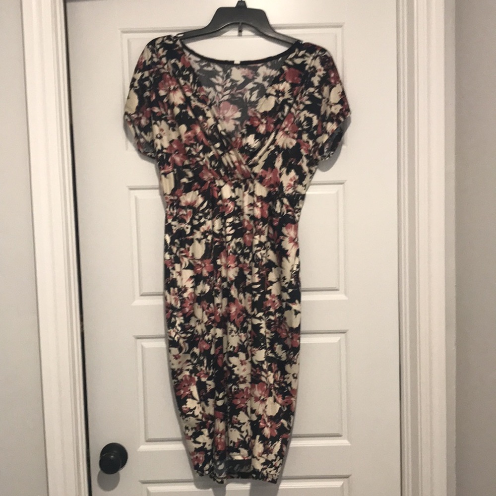 NWT PinkBlush Maternity Dress